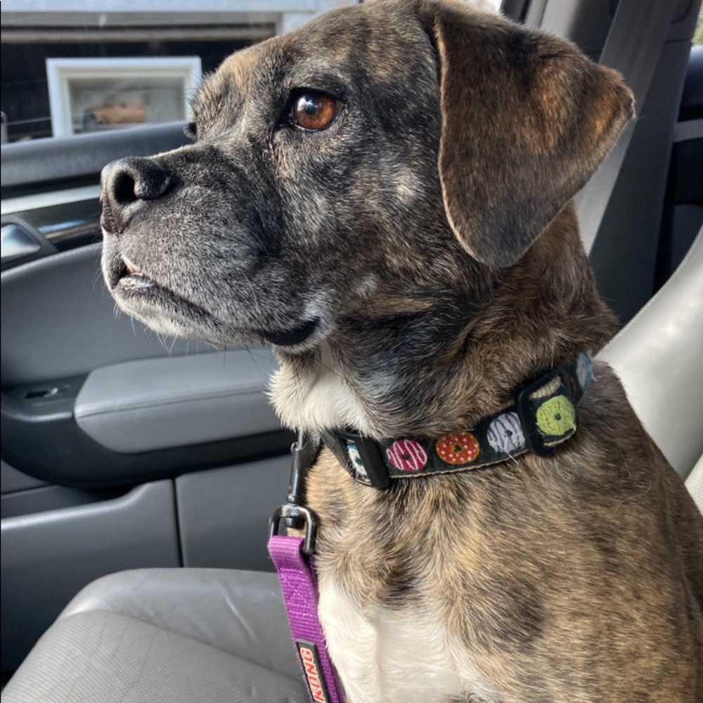 Meet your Posher, Matthew